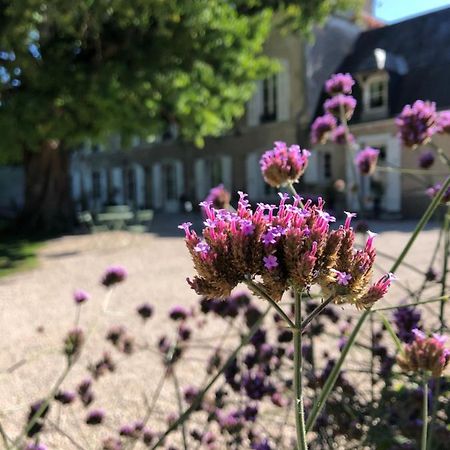 ホテル Domaine Saint-Hilaire ムン・シュル・ロワール エクステリア 写真