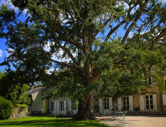 ホテル Domaine Saint-Hilaire ムン・シュル・ロワール エクステリア 写真