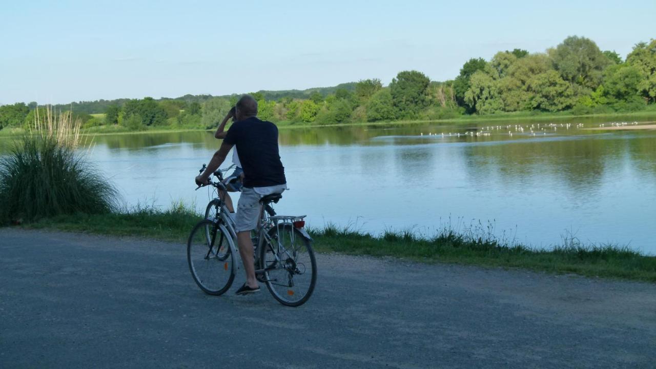 ホテル Domaine Saint-Hilaire ムン・シュル・ロワール エクステリア 写真