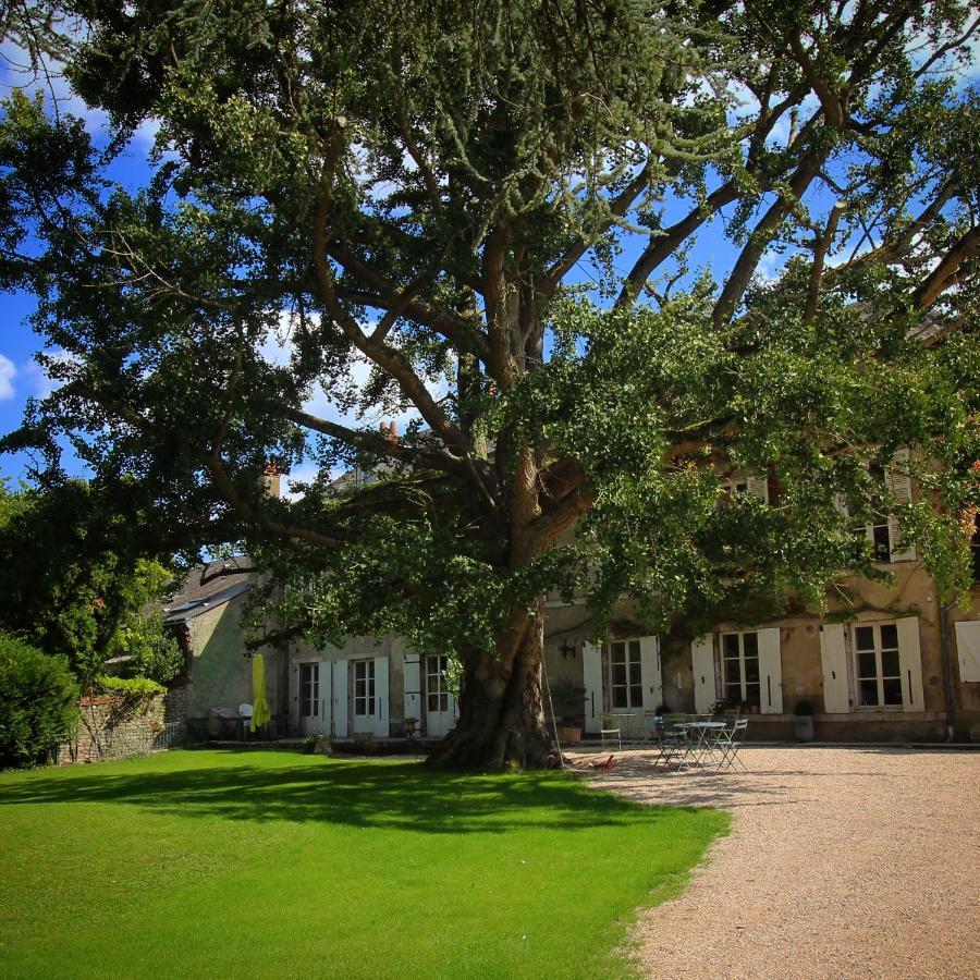 ホテル Domaine Saint-Hilaire ムン・シュル・ロワール エクステリア 写真