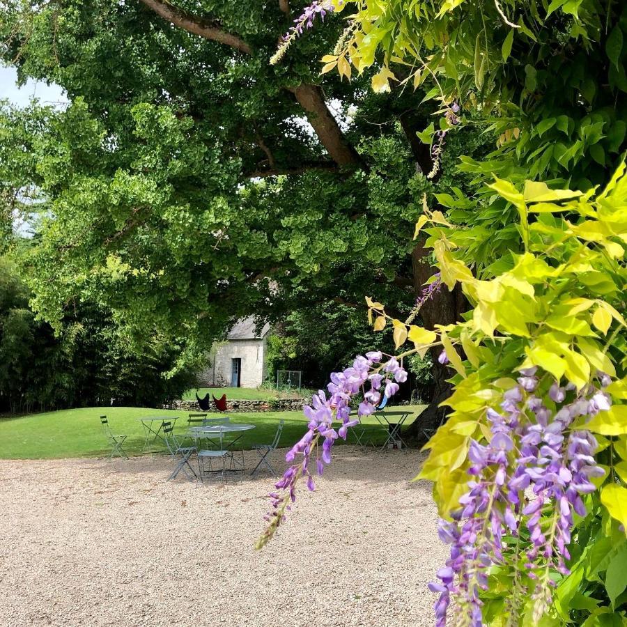 ホテル Domaine Saint-Hilaire ムン・シュル・ロワール エクステリア 写真