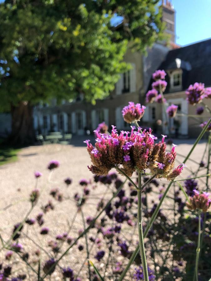 ホテル Domaine Saint-Hilaire ムン・シュル・ロワール エクステリア 写真